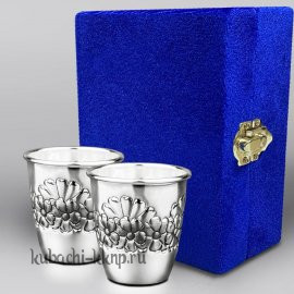 Набор из двух серебряных стопок 