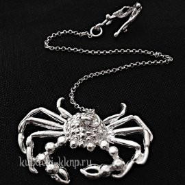 Серебряный ионизатор для воды «Краб» - и0002