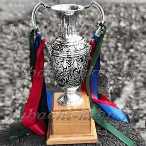 Кубок наградной из серебра - кб014