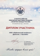 Диплом, Ярославль, декабрь 2013г.