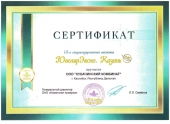 Сертификат, Казань, июнь 2017г.